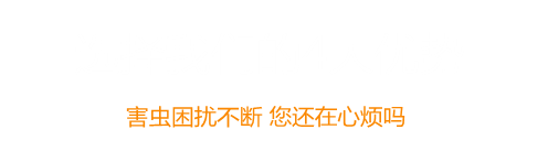 球盟會·qmh(中國)-官方網(wǎng)站