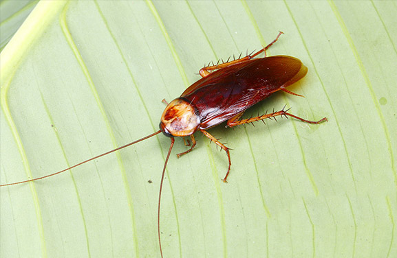 球盟會·qmh(中國)-官方網(wǎng)站