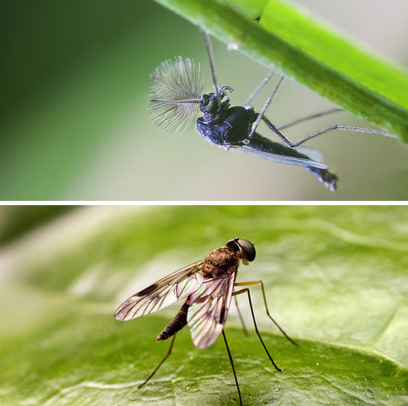 球盟會·qmh(中國)-官方網(wǎng)站