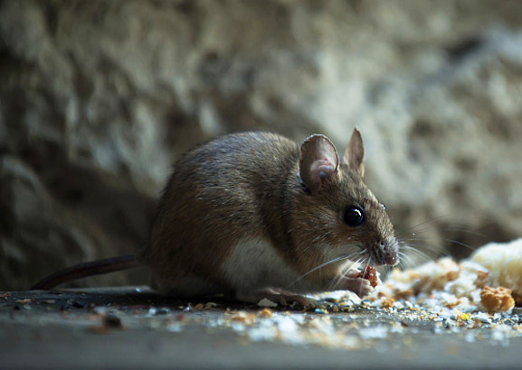 球盟會(huì)·qmh(中國(guó))-官方網(wǎng)站